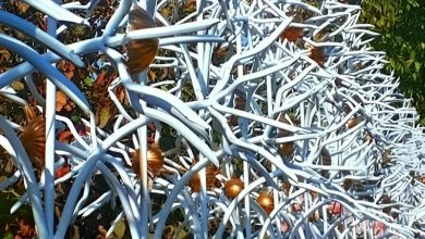 fence-wall-protection-deer-antler-spear-ye حفاظ شاخ گوزنی دیوار در یاسوج