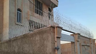 fence-wall-protection-deer-antler-spear-yz حفاظ شاخ گوزنی دیوار در پردیس