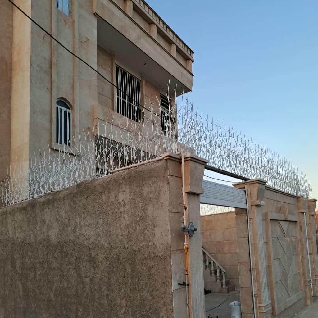 حفاظ شاخ گوزنی دیوار در پردیس