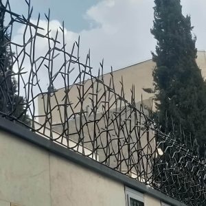حفاظ شاخ گوزنی با شاخه های درهم تنیده